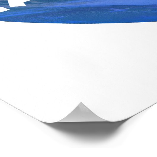 Earth Day 2009 Poster (Hoek)