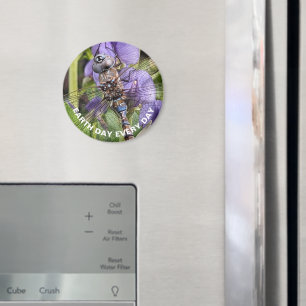 Earth Day Blauwogige Darner Dragonfly op Bloem Magneet