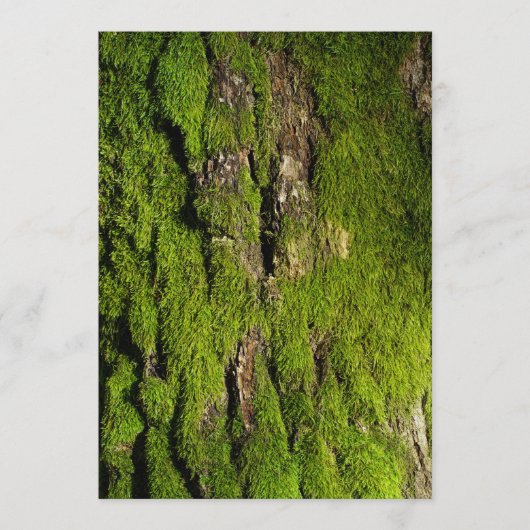 Earth Day Celebration, Editable Text (Voorkant)