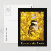 Earth Day Chickadee Bird Flowers Briefkaart (Voorkant / Achterkant)