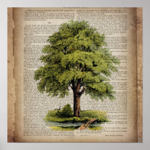Earth Day ECO woordenboek print  eikenboom