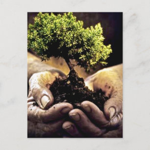 Earth Hands Briefkaart