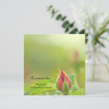 Earth’s Glow and Healing Japanese Flowers/EarthDay