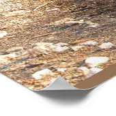 Earth science, Environment, Eutrofiëring Poster (Hoek)