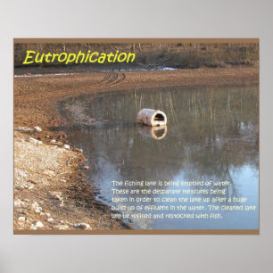 Earth science, Environment, Eutrofiëring Poster