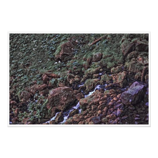 EarthTone Foto Afdruk (Voorkant)