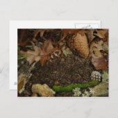 Earthy Forest Floor Briefkaart (Voorkant / Achterkant)