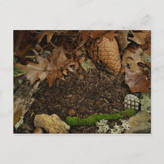 Earthy Forest Floor Briefkaart (Voorkant)