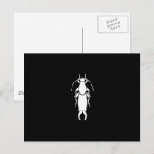 Earwig Briefkaart (Voorkant / Achterkant)