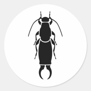 Earwig Ronde Sticker