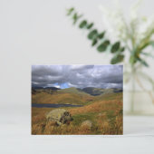 Easedale Tarn Cumbria England Briefkaart (Staand voorkant)
