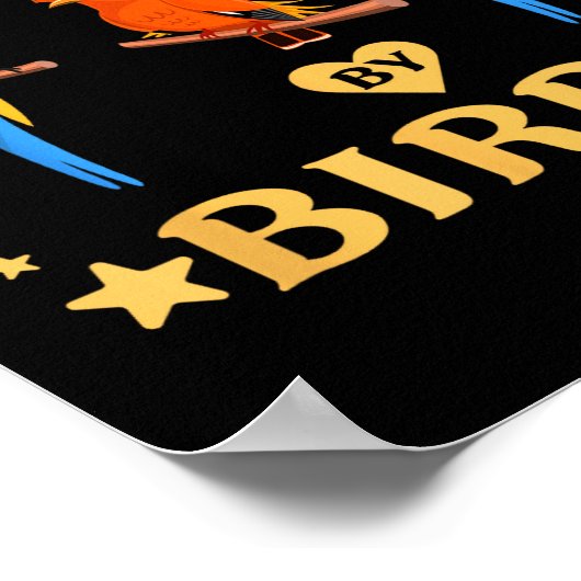 Easily Distracted By Birds Funny Quote Bird Lovers Poster (Hoek)