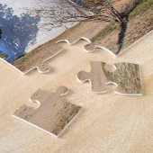 East Chop Lighthouse, Puzzle du Massachusetts (Côté)