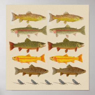 East Coast Trout Jems Poster