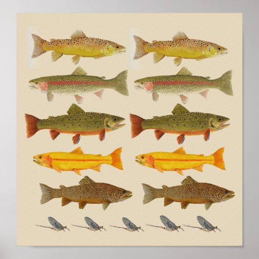 East Coast Trout Jems Poster (Voorkant)