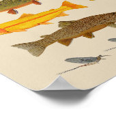East Coast Trout Jems Poster (Hoek)