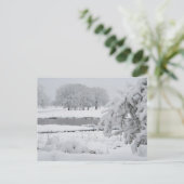 East Texas winter 2009 Briefkaart (Staand voorkant)