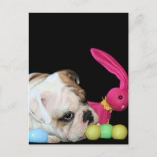 Easter Bulldog postcard Feestdagenkaart