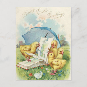 Easter Chick Holiday briefkaart