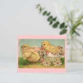  Easter Chicks Briefkaart (Staand voorkant)