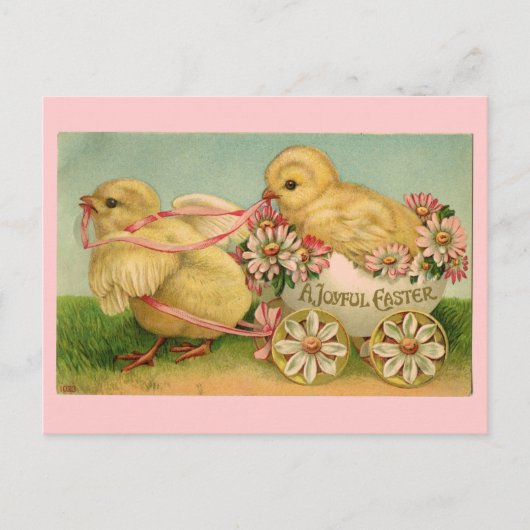  Easter Chicks Briefkaart (Voorkant)