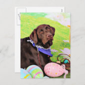 Easter - Chocolate Labrador - Hershey Feestdagenkaart (Voorkant / Achterkant)