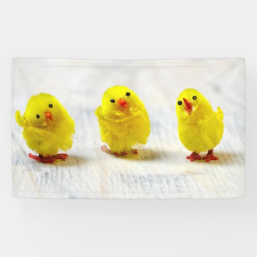 Easter Decoration - chicks in a row Spandoek (Horizontaal)
