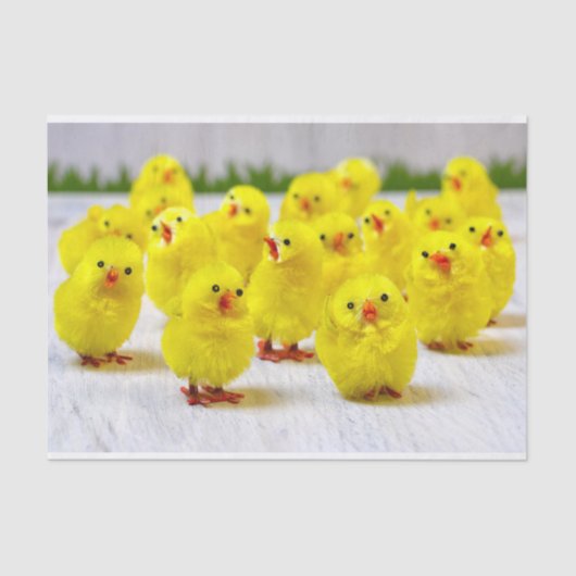Easter Decoration Group of chicks Tissuepapier (Voorkant)