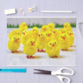Easter Decoration Group of chicks Tissuepapier (Craft)
