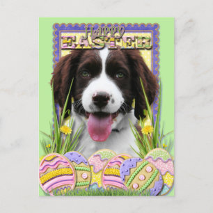 Easter Egg Cookies - Engelse Springer Spaniel Feestdagenkaart