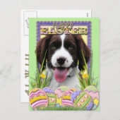 Easter Egg Cookies - Engelse Springer Spaniel Feestdagenkaart (Voorkant / Achterkant)