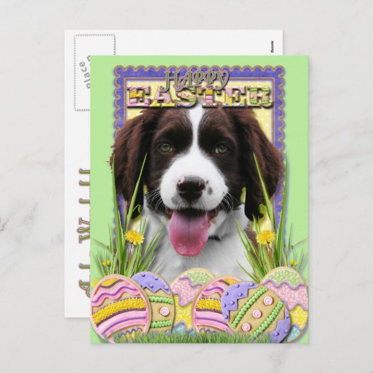 Easter Egg Cookies - Engelse Springer Spaniel Feestdagenkaart (Voorkant / Achterkant)