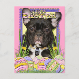 Easter Egg Cookies - French Bulldog Feestdagenkaart