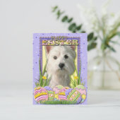 Easter Egg Cookies - West Highland Terrier Feestdagenkaart (Staand voorkant)