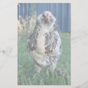Easter Egger Rooster Briefpapier