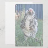 Easter Egger Rooster Briefpapier (Voorkant / Achterkant)