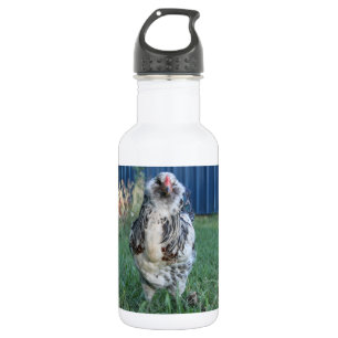 Easter Egger Rooster Waterfles