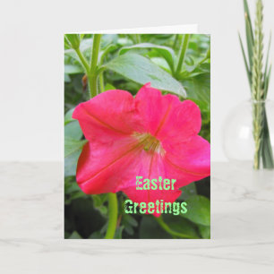 Easter greetings, Happy Easter, red petunia flower Feestdagen Kaart
