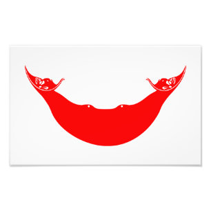 Easter Island-vlag Foto Afdruk