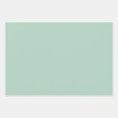 Easter Mint Green Ginham Inpakpapier Vel (Voorkant 2)