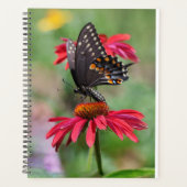 Eastern Black Swallowtail op Cone Flower Planner (Voorkant)