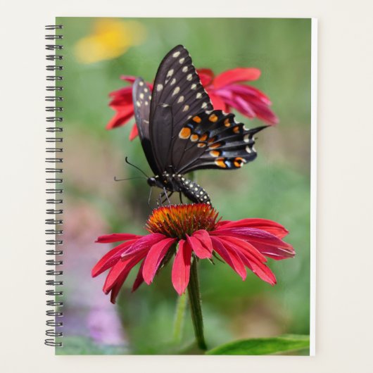 Eastern Black Swallowtail op Cone Flower Planner (Voorkant)