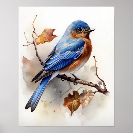Eastern Bluebird Bird Art Print Poster (Voorkant)