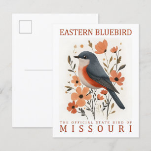 Eastern Bluebird Bird of Missouri Verenigde Staten Briefkaart