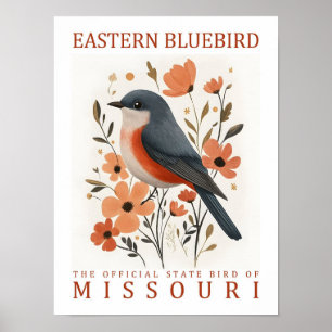 Eastern Bluebird Bird of Missouri Verenigde Staten Poster