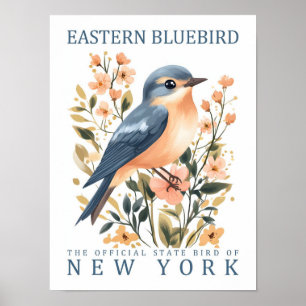 Eastern Bluebird Bird of New York Verenigde Staten Poster