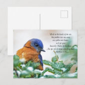 Eastern Bluebird Briefkaart Matthew 6:26 (Voorkant / Achterkant)