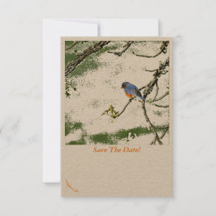 Eastern Bluebird/Champagne Glass Save the Date ~