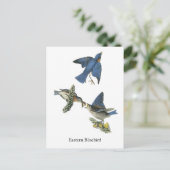 Eastern Bluebird, John Audubon Briefkaart (Staand voorkant)