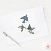 Eastern Bluebird, John Audubon Vierkante Sticker (Envelop)